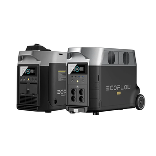 Комплект EcoFlow DELTA Pro+ Smart Generator 1508930 фото