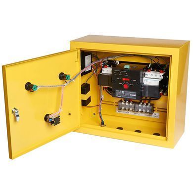 Генератор бензиновий EnerSol EPG-11000SEA 1512996 фото