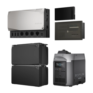 Комплект энергонезависимости Ecoflow Power Independence Kit 10 kWh (с генератором) 1508943 фото