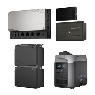 Комплект энергонезависимости Ecoflow Power Independence Kit 4 kWh (с генератором) 1508946 фото