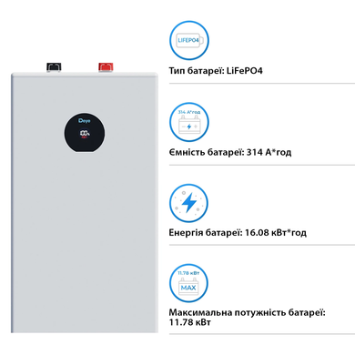 Аккумуляторная батарея Deye SE-F16-C (LiFePO4 51,2V 314Ah 16.0 kWh) 1540337 фото