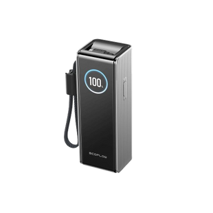 Павербанк EcoFlow RAPID Power Bank з кабелями 25000mAh сріблястий 1537613 фото