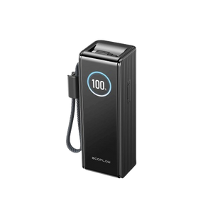 Павербанк EcoFlow RAPID Power Bank з кабелями 25000mAh чорний 1537614 фото