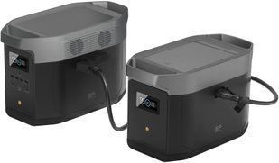 Комплект EcoFlow DELTA Max(1600) + DELTA Max Extra Battery 1508924 фото